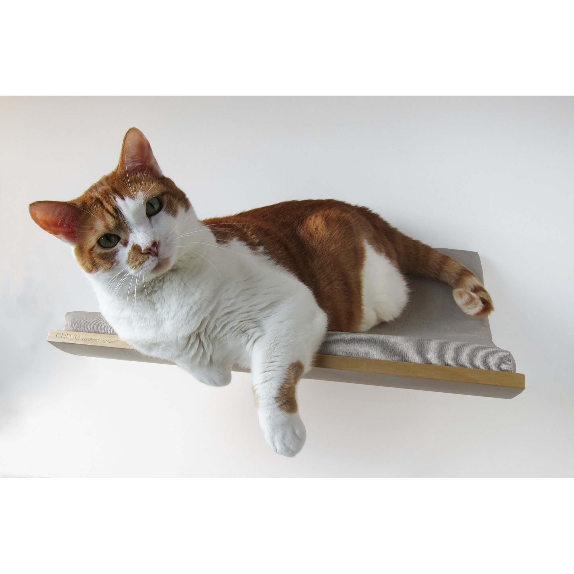 Curve 5" Curve Wall Mounted Cat Perch & Reviews Wayfair